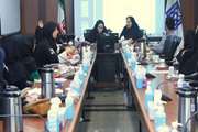 برگزاری جلسه آموزشی ویژه کارشناسان برنامه غربالگری نوزادان در شهرستان اسلامشهر